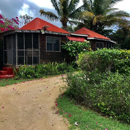 Villa Moringa Ingadi Treasure Beach Exterior foto