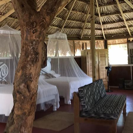 Villa Moringa Ingadi Treasure Beach Exterior foto